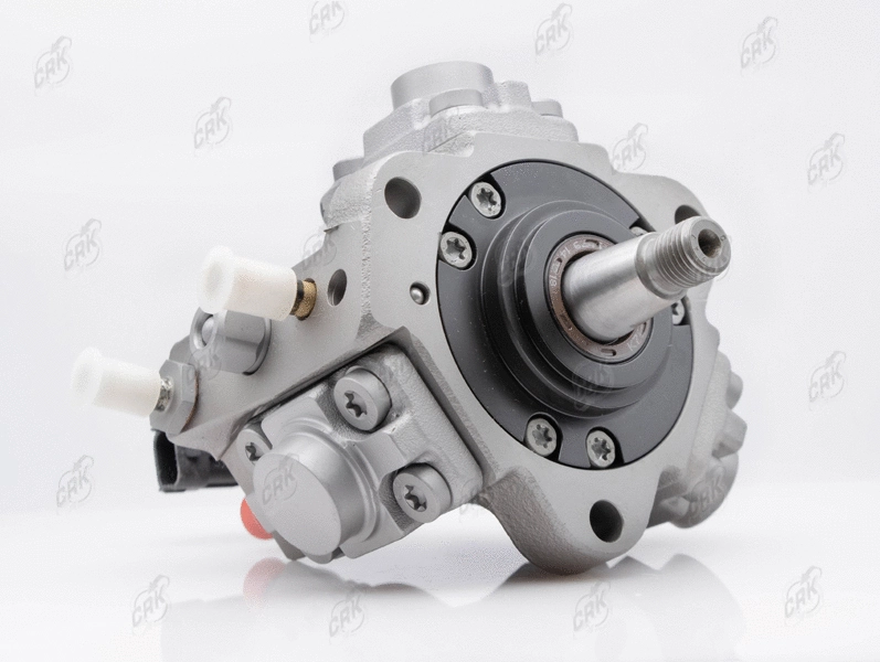 High Pressure Pump (R010287)