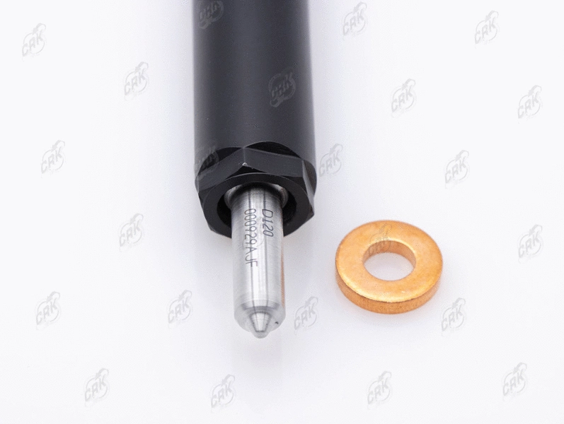 Nozzle and Holder Assembly