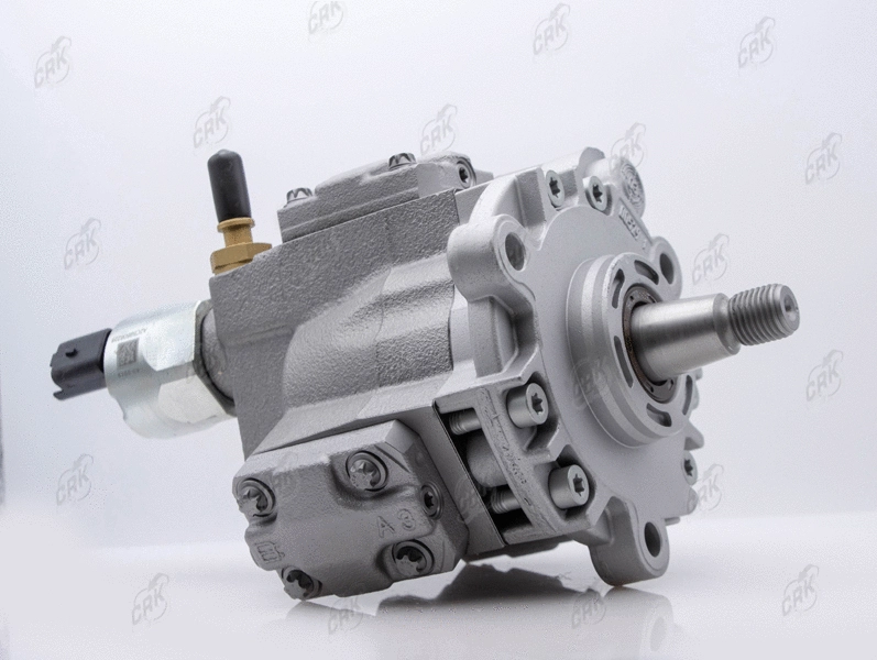 High Pressure Pump (R099022)