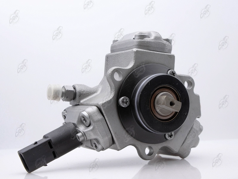 High Pressure Pump (R010269)