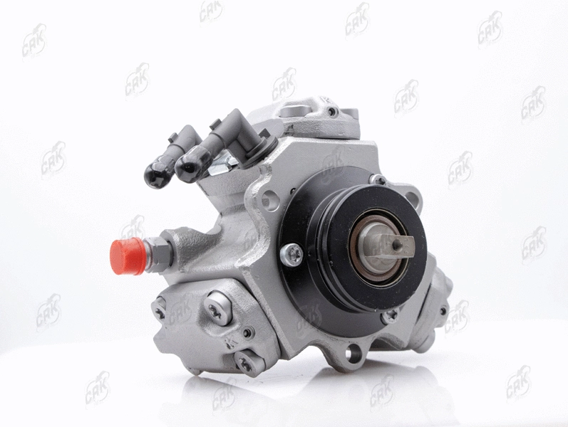 High Pressure Pump (R010276)