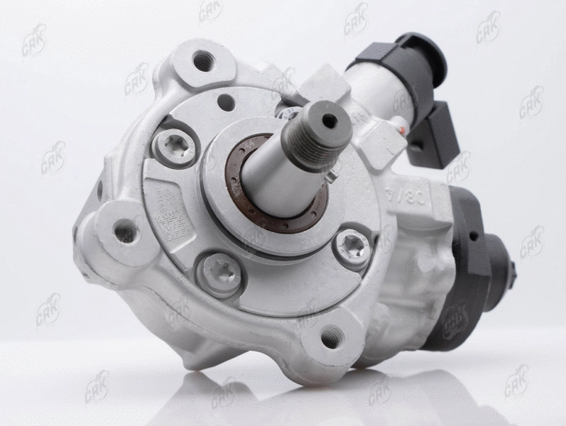 High Pressure Pump (R010555)