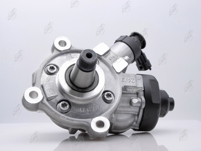 High Pressure Pump (N010554)