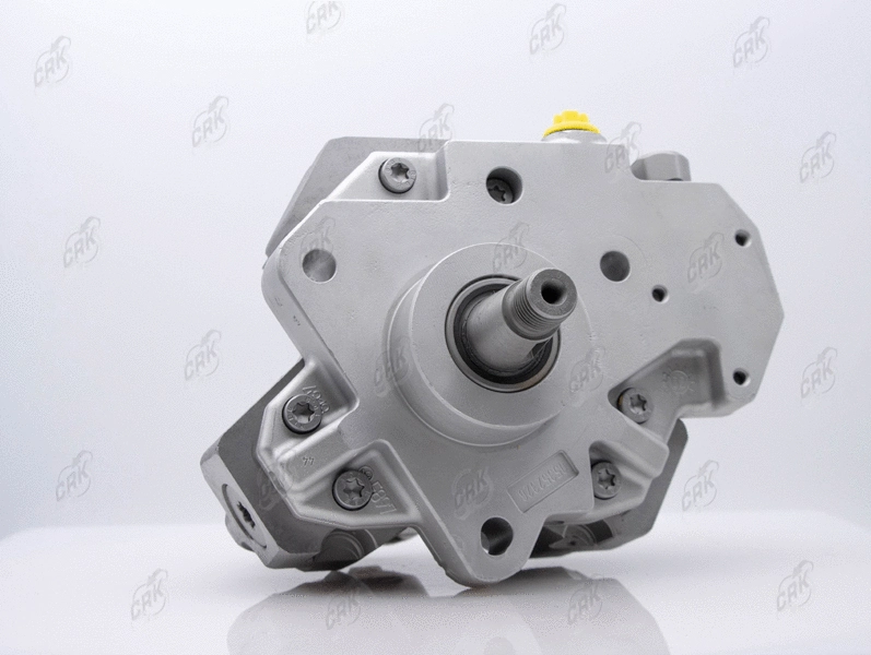 High Pressure Pump (R010034)