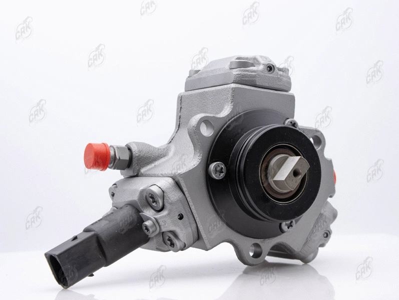 High Pressure Pump (R010275)