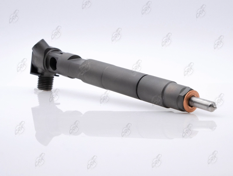 Nozzle and Holder Assembly (R177007)