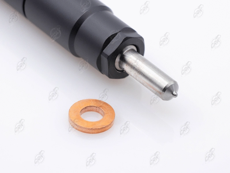 Nozzle and Holder Assembly