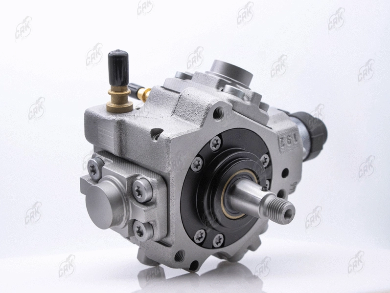 High Pressure Pump (R010296)