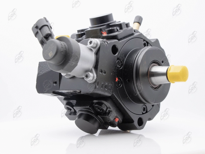 High Pressure Pump (R010205)