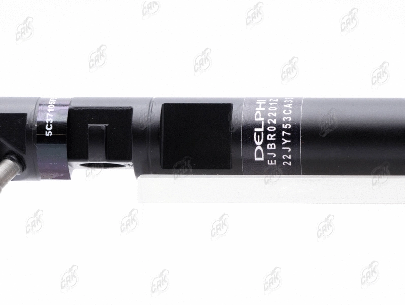 Nozzle and Holder Assembly