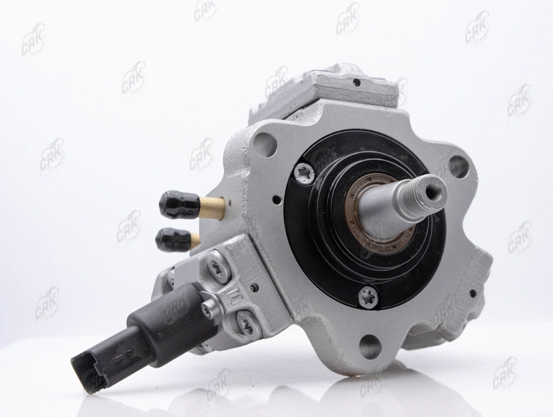 High Pressure Pump (R010021)