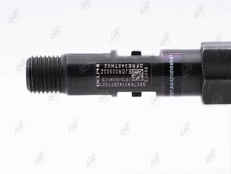 Nozzle and Holder Assembly