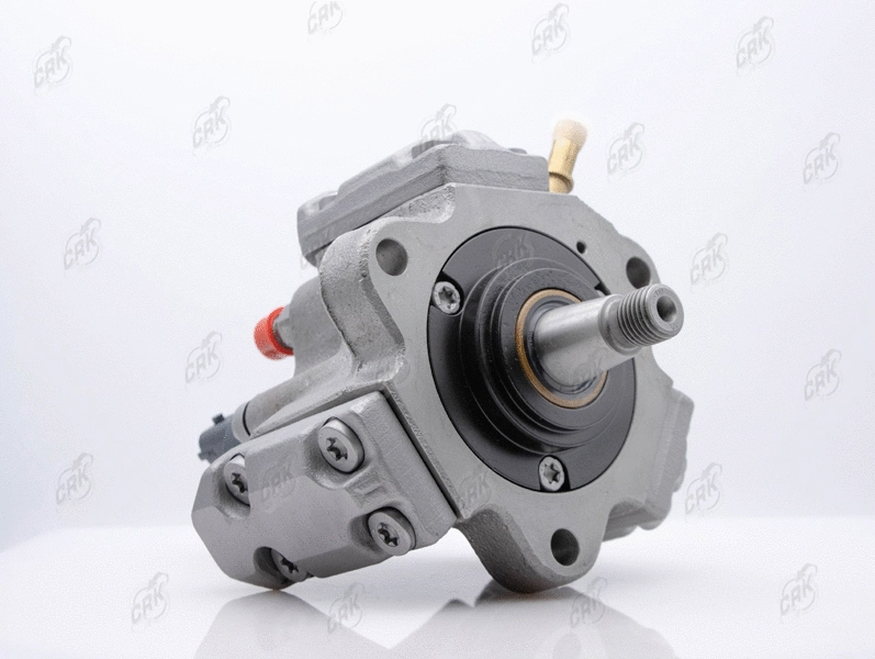 High Pressure Pump (R010018)