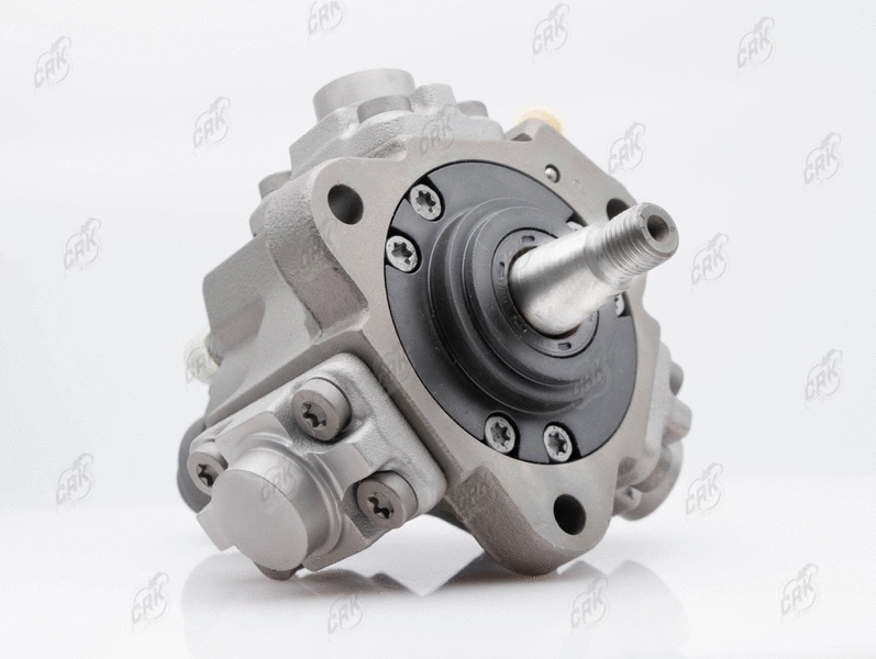 High Pressure Pump (R010286)