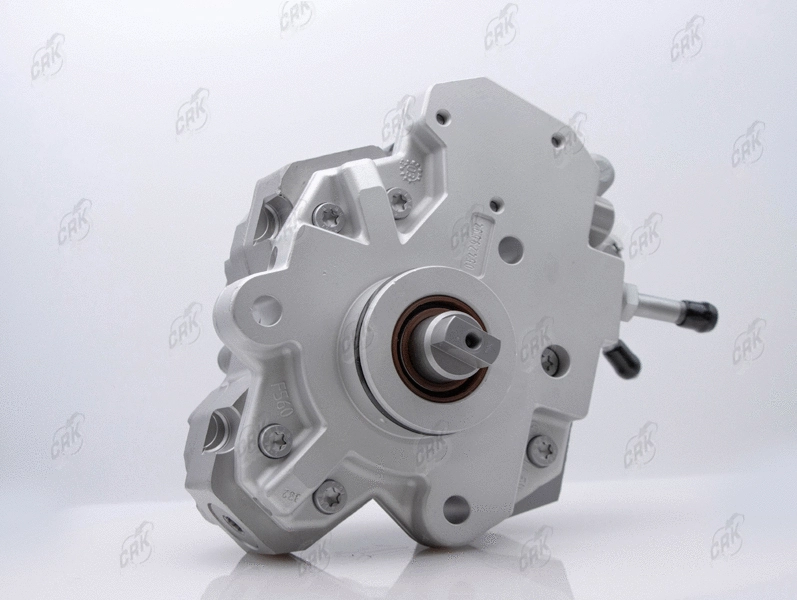 High Pressure Pump (R010113)