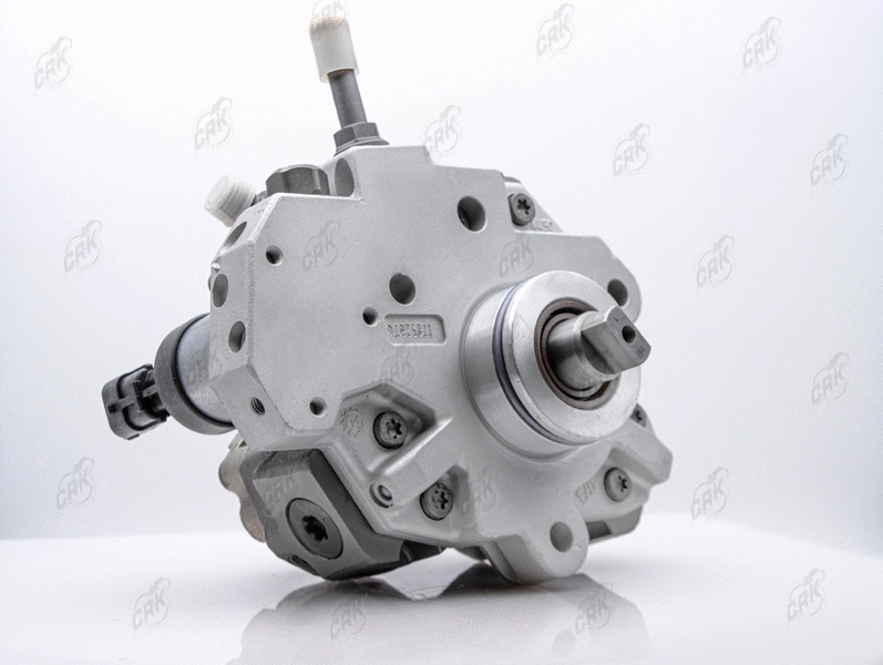 High Pressure Pump (R010112)