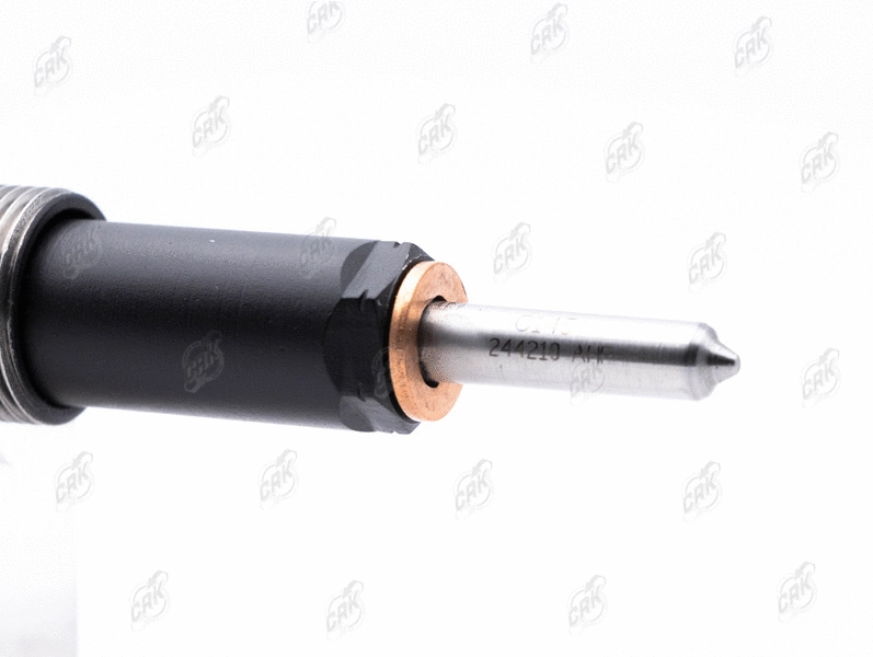 Nozzle and Holder Assembly