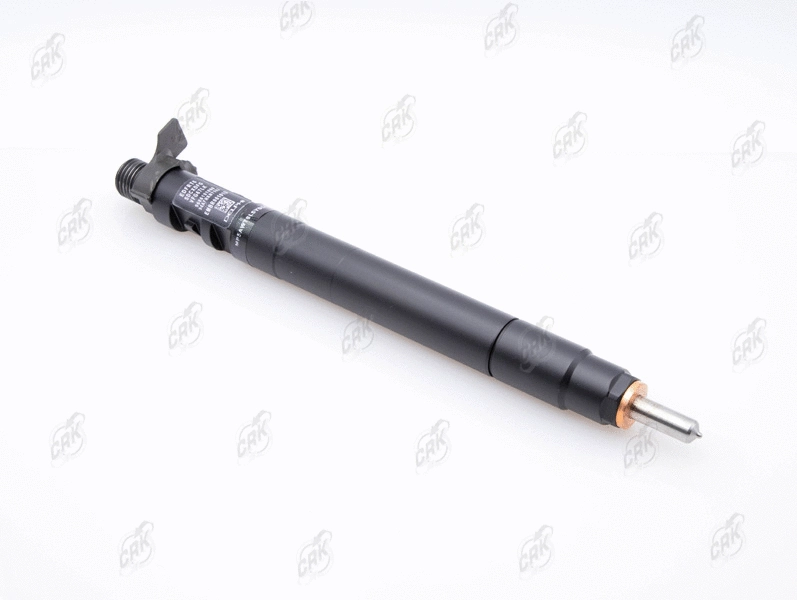 Nozzle and Holder Assembly (R177008)