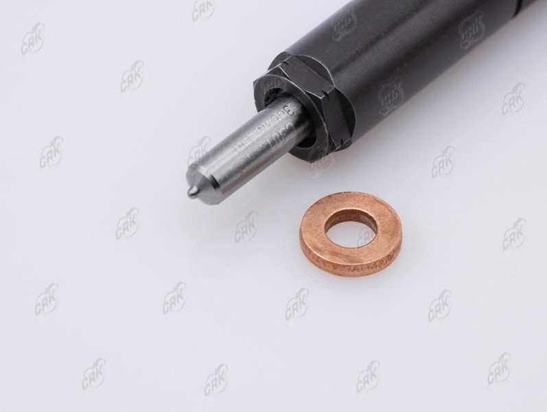 Nozzle and Holder Assembly