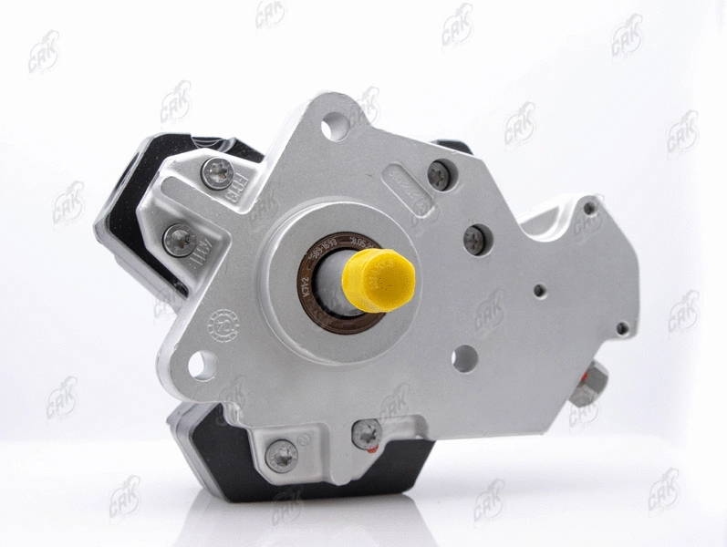 High Pressure Pump (R010087)