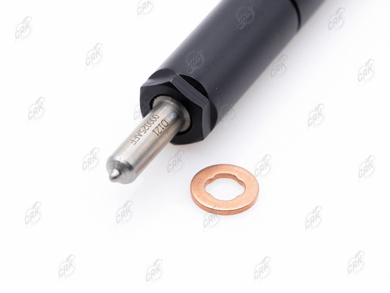 Nozzle and Holder Assembly