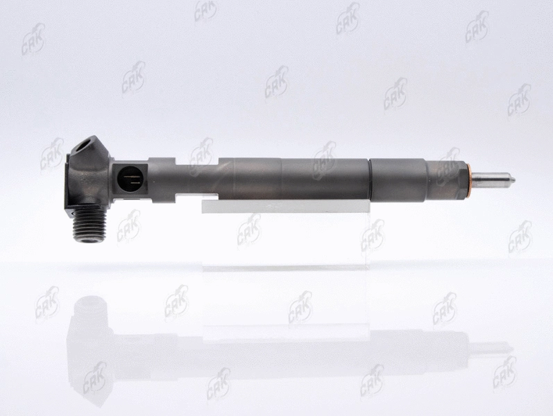 Nozzle and Holder Assembly