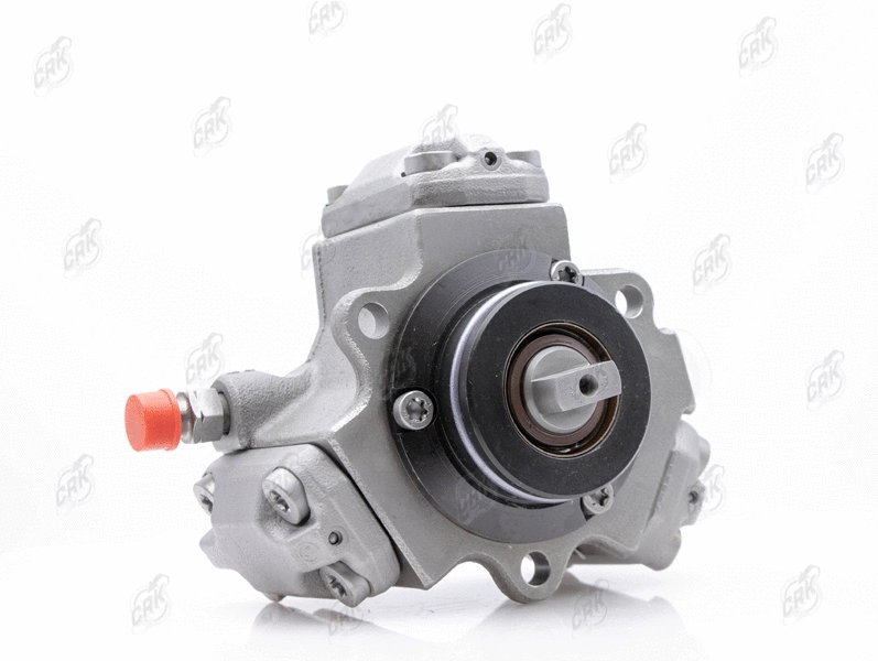 High Pressure Pump (R010270)