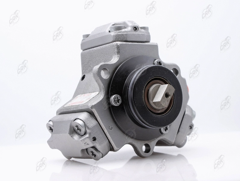 High Pressure Pump (R010281)