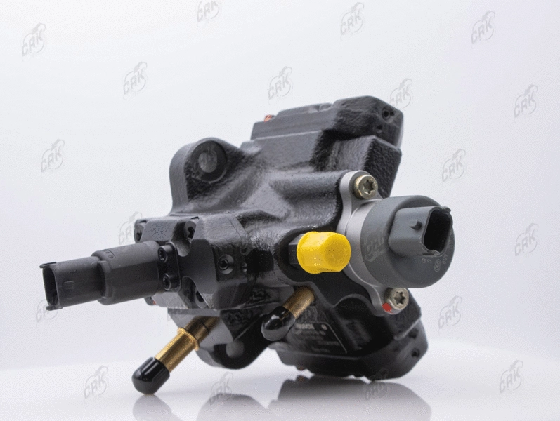 High Pressure Pump (R020002)