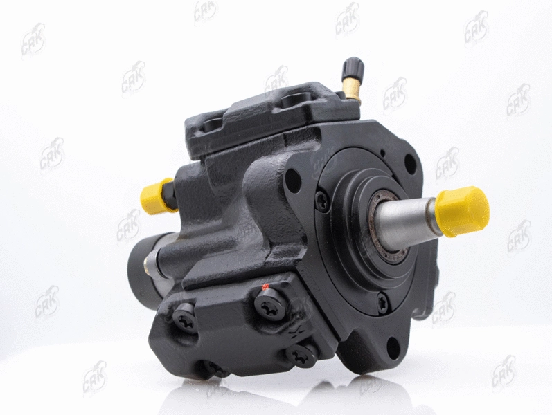 High Pressure Pump (R010284)