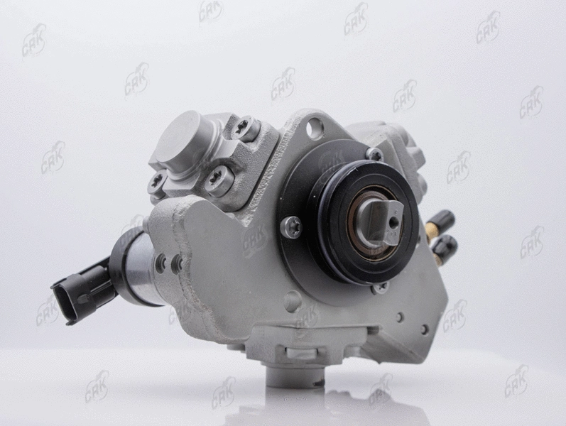 High Pressure Pump (R010293)