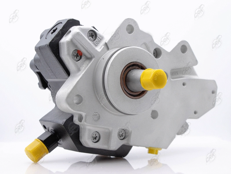 High Pressure Pump (R010099)