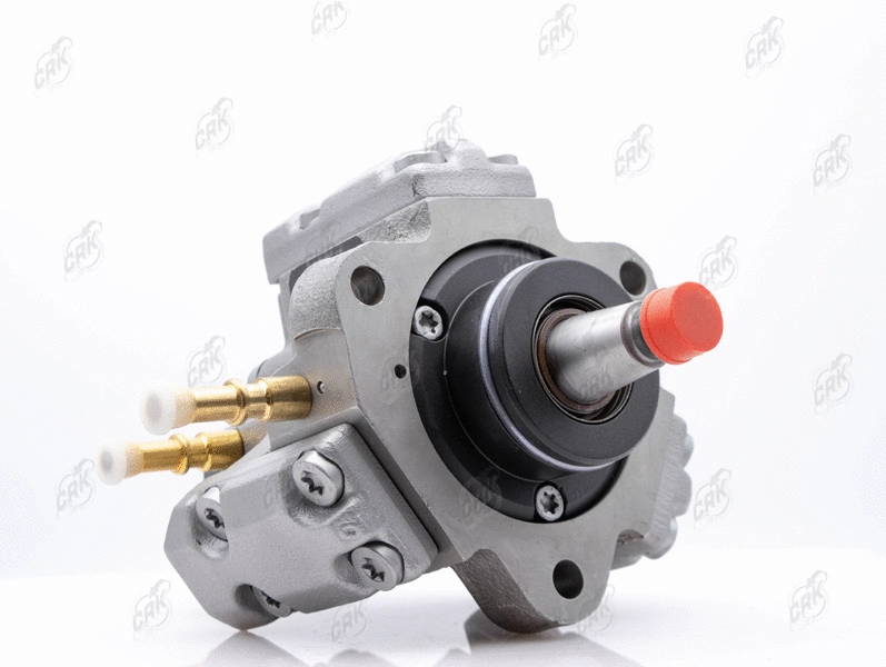 High Pressure Pump (R010028)