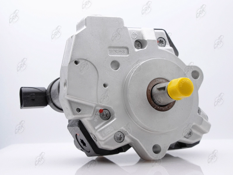 High Pressure Pump (R010073)