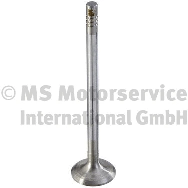 Exhaust Valve