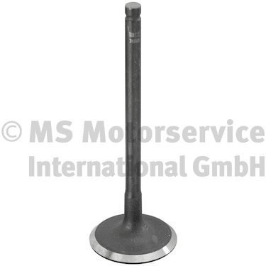 Intake Valve