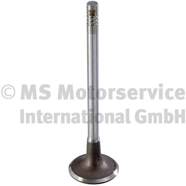 Intake Valve (189000)