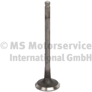 Exhaust Valve (769001)