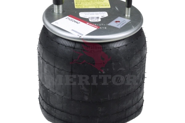 Suspension Strut, air suspension (21222239)