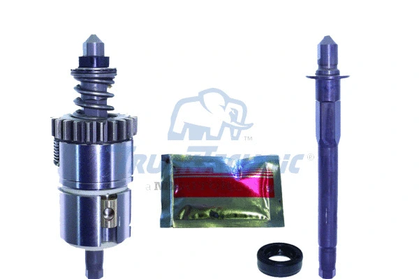 Suspension Strut, air suspension (MSK20022)