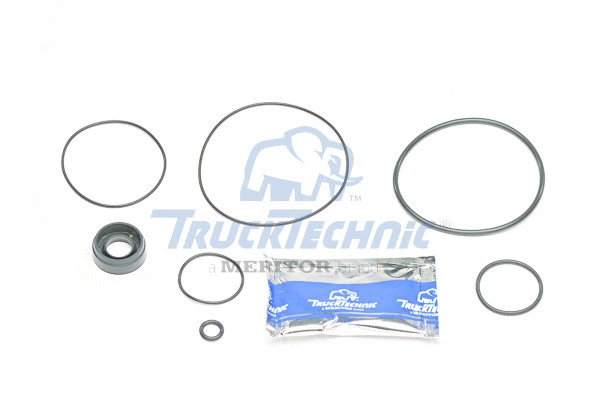 Suspension Strut, air suspension (MSK20019)