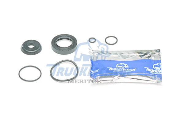 Suspension Strut, air suspension (MSK20078)