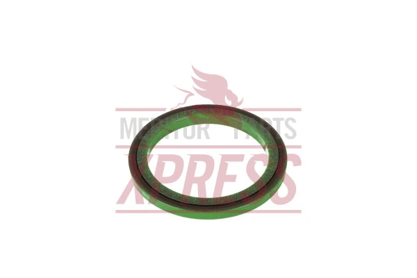 Seal, differential housing cover (A 1205U1945)