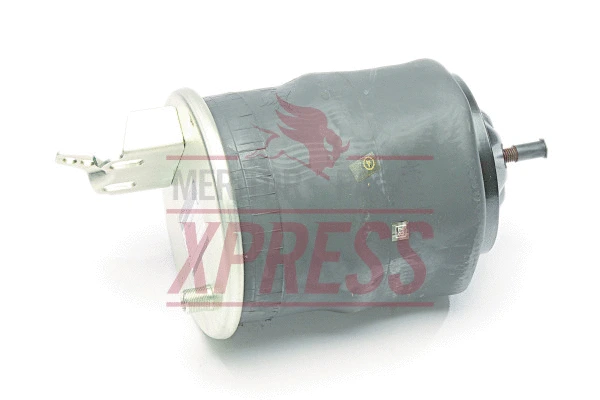 Suspension Strut, air suspension (MLF8063)