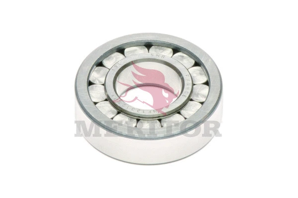 Bearing Kit, differential (A1 1228H606)