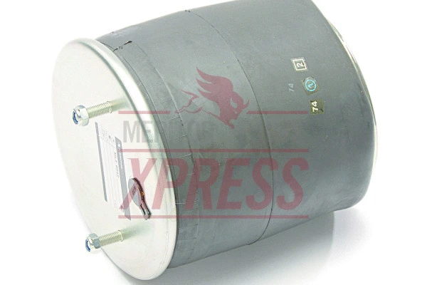 Suspension Strut, air suspension (MLF21221307)