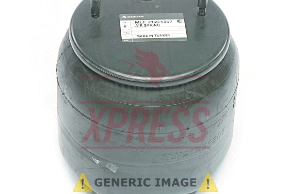 Suspension Strut, air suspension (MLF8009)