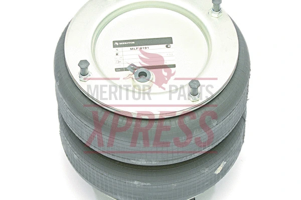 Suspension Strut, air suspension (MLF8136)