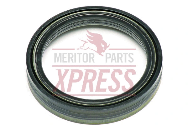 Seal Ring, brake shoe (21020663)