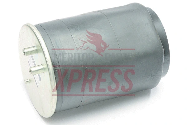 Suspension Strut, air suspension (MLF8026)